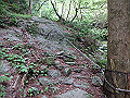 akabosi078_thumb.png