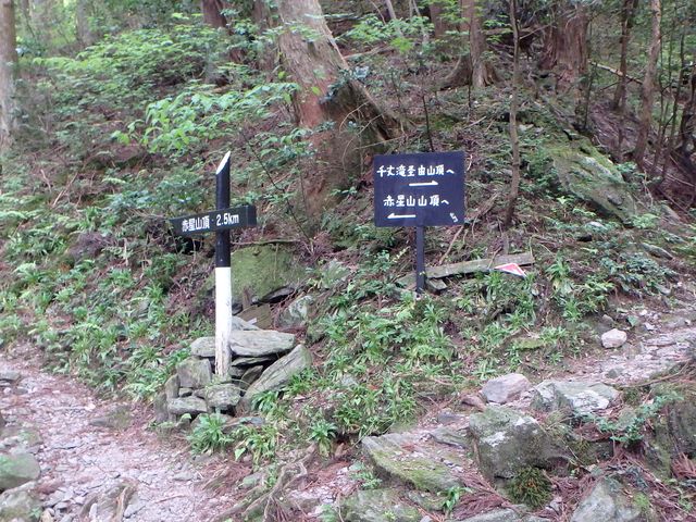 akabosi086.jpg