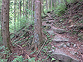 akabosi089_thumb.png