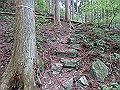 akabosi091_thumb.png