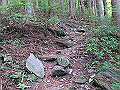akabosi092_thumb.png