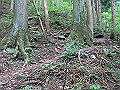 akabosi094_thumb.png