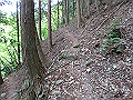 akabosi104_thumb.png