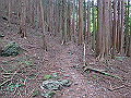 akabosi108_thumb.png