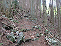 akabosi122_thumb.png