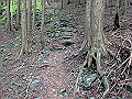 akabosi123_thumb.png