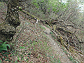 akabosi182_thumb.png