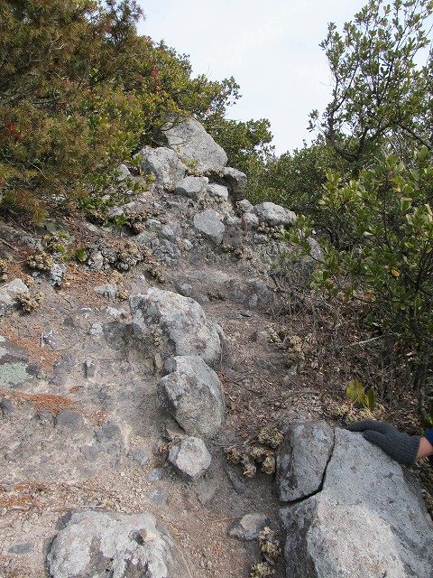 douun31.jpg