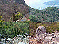 douun40_thumb.png