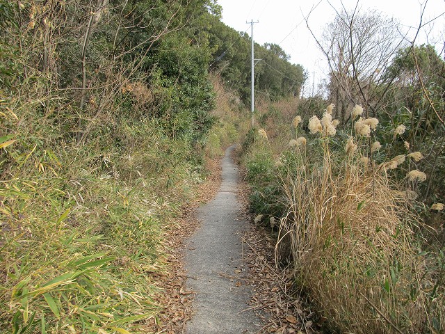 douun44.jpg