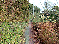 douun44_thumb.png