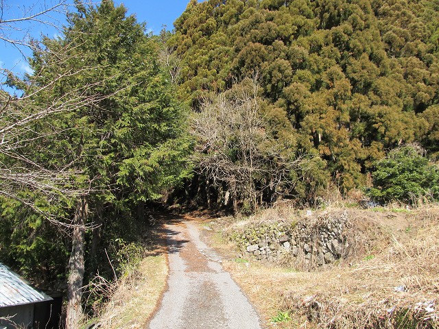 gozaisyo04.jpg