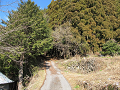 gozaisyo04_thumb.png
