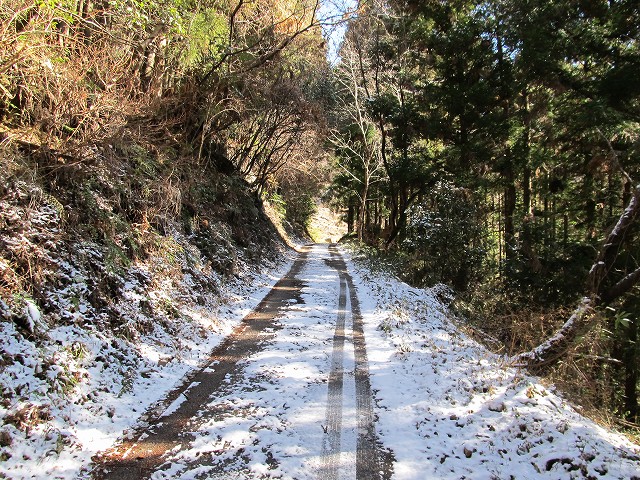 gozaisyo05.jpg