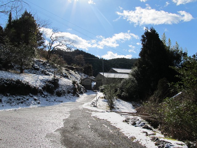 gozaisyo10.jpg
