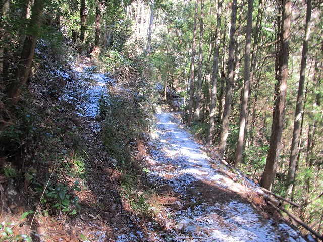 gozaisyo14.jpg