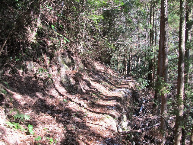gozaisyo15.jpg