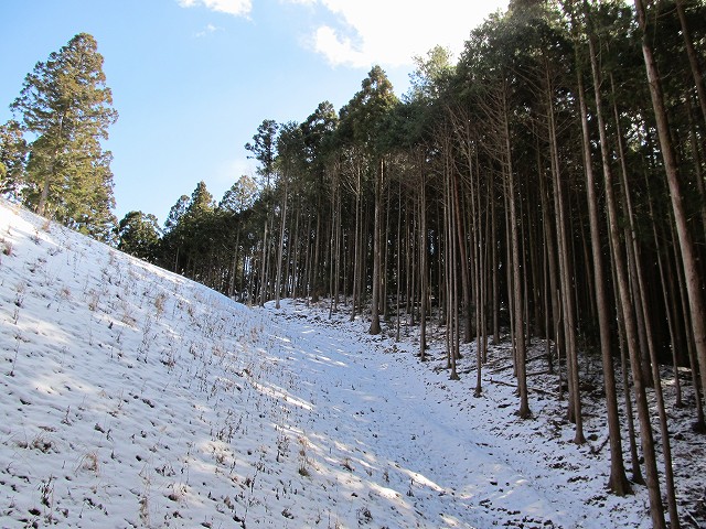 gozaisyo27.jpg
