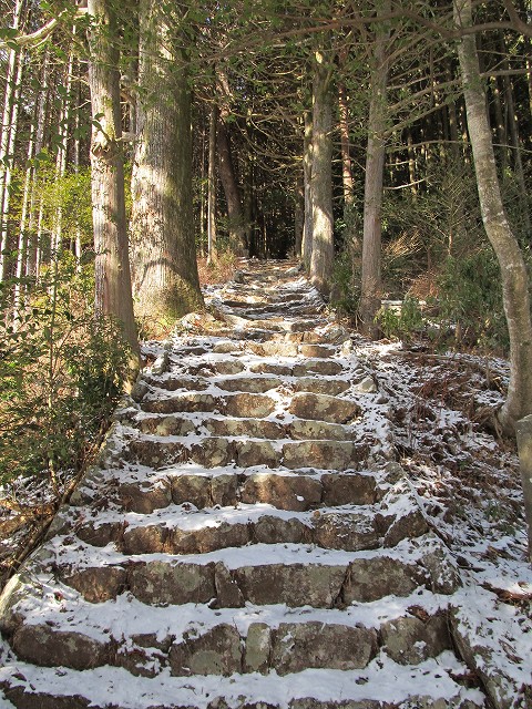 gozaisyo31.jpg