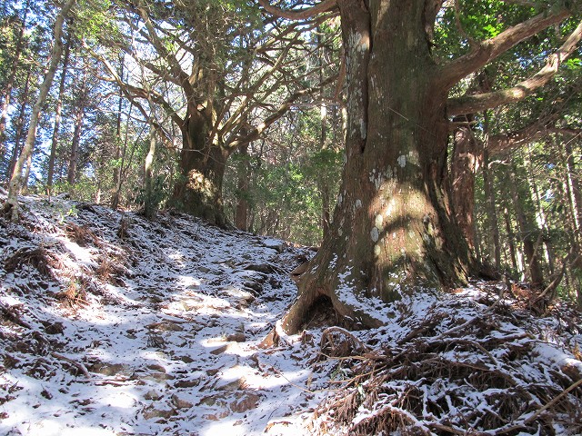 gozaisyo35.jpg