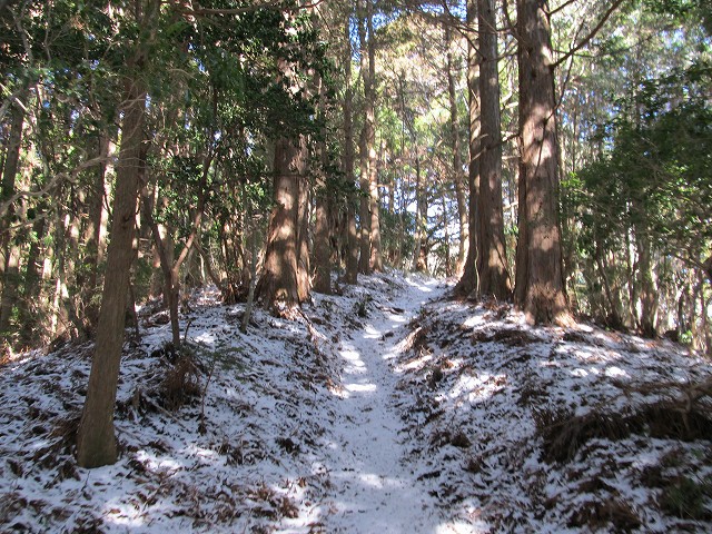 gozaisyo37.jpg