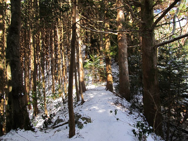 gozaisyo39.jpg