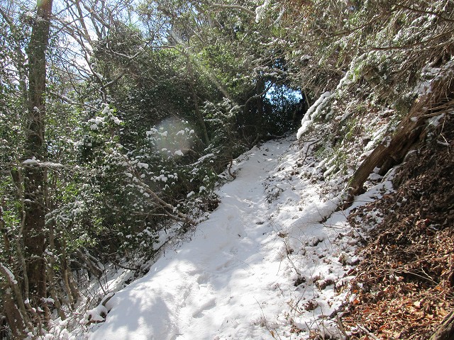 gozaisyo43.jpg
