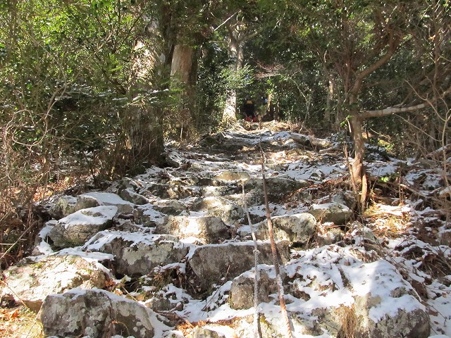 gozaisyo46.jpg