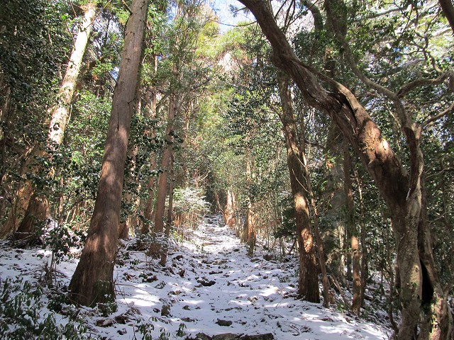 gozaisyo48.jpg