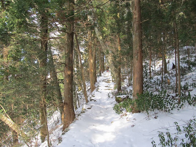 gozaisyo53.jpg