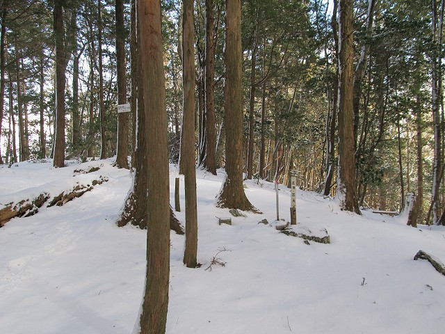 gozaisyo57.jpg