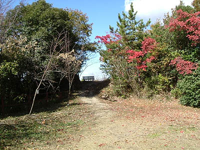 iino08.jpg