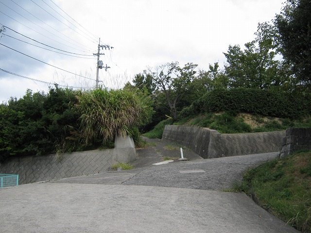 inadumi06.jpg