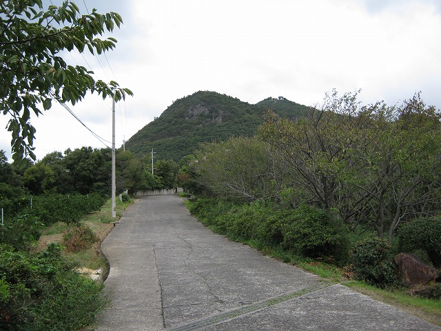 inadumi08.jpg