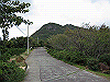 inadumi08_thumb.png