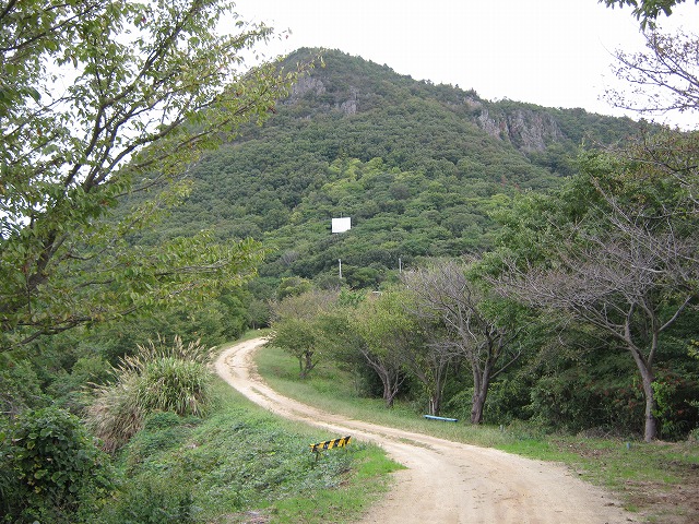 inadumi19.jpg