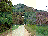 inadumi20_thumb.png