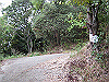 inadumi25_thumb.png