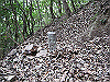 inadumi30_thumb.png