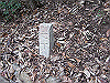 inadumi32_thumb.png