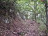 inadumi33_thumb.png