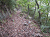 inadumi34_thumb.png