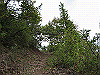 inadumi36_thumb.png