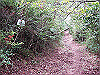 inadumi38_thumb.png
