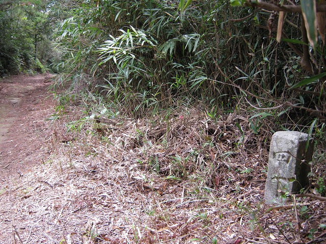 inadumi40.jpg