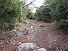 inadumi42_thumb.png