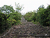 inadumi43_thumb.png