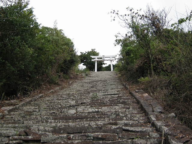 inadumi45.jpg