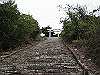 inadumi45_thumb.png