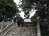 inadumi49_thumb.png